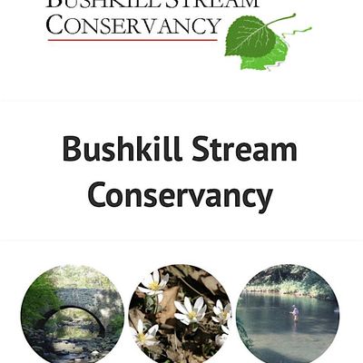 Bushkill Stream Conservancy\/Palmer Twp ESC