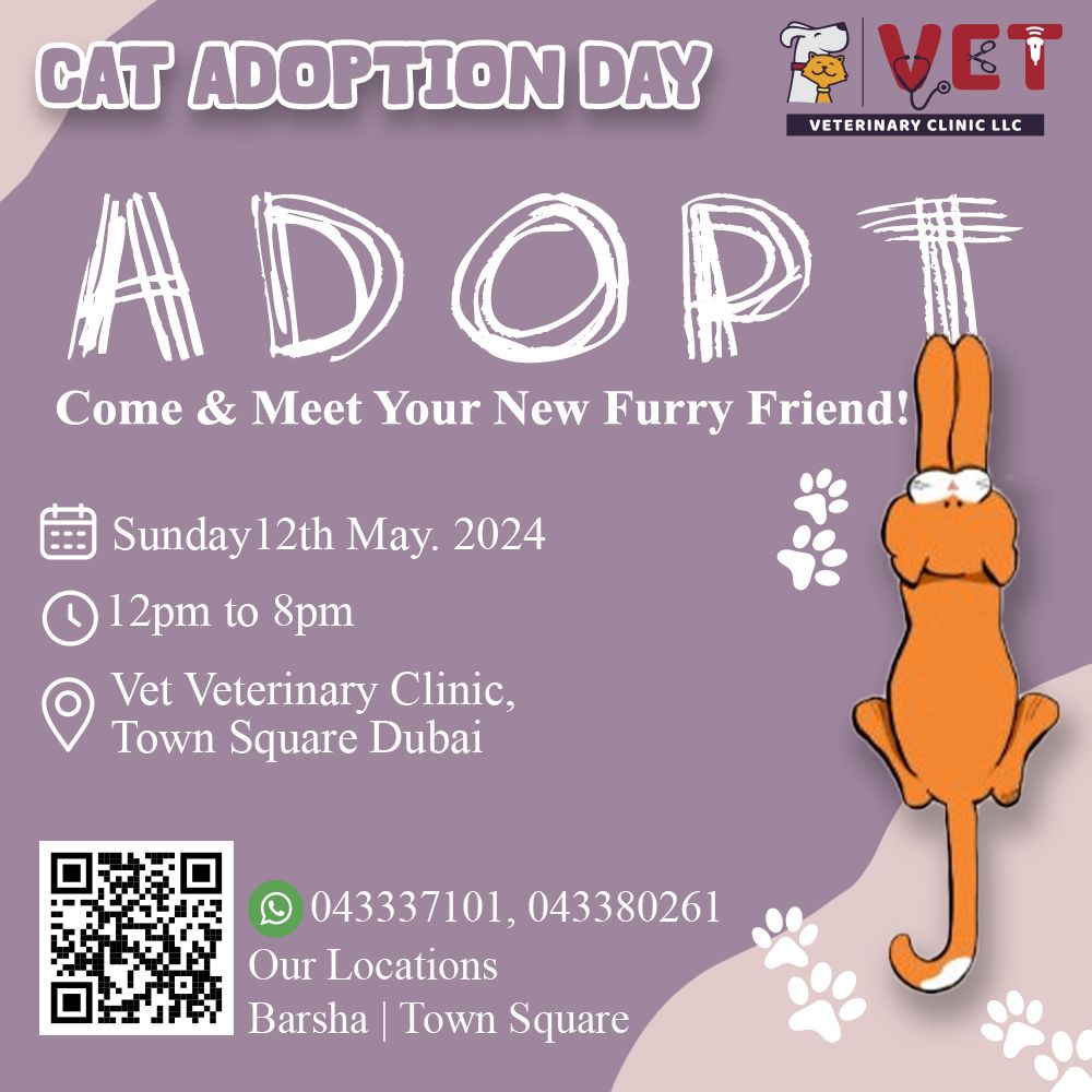 Find Your Purr-fect Match: Join VET Veterinary Clinic in Town Square for Cat Adoption Day!