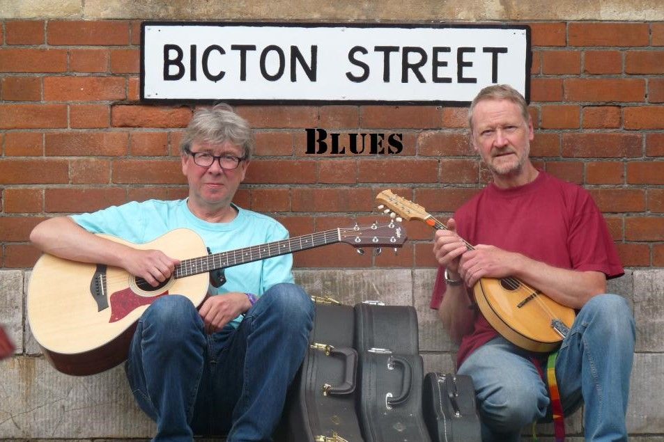 Bicton Street Blues & The Wild Strings