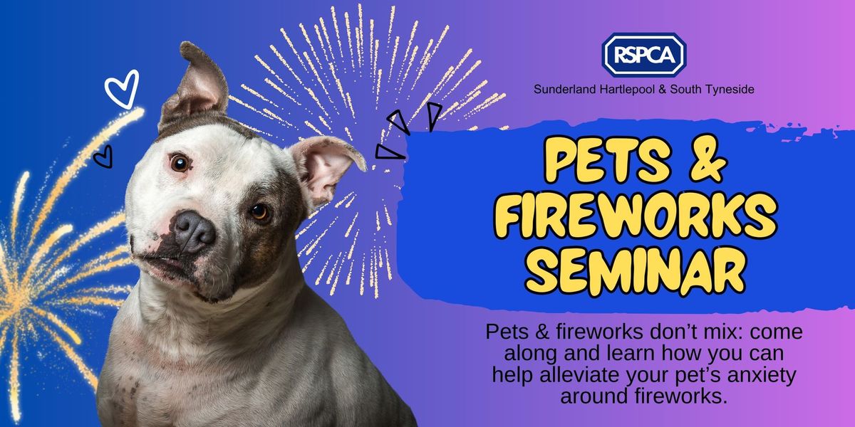 Fireworks Seminar: Alleviate sound anxiety in your pet 
