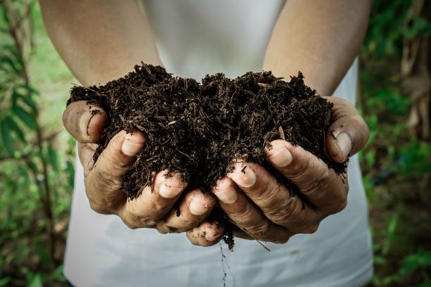 Soil Fertility & Nutrition