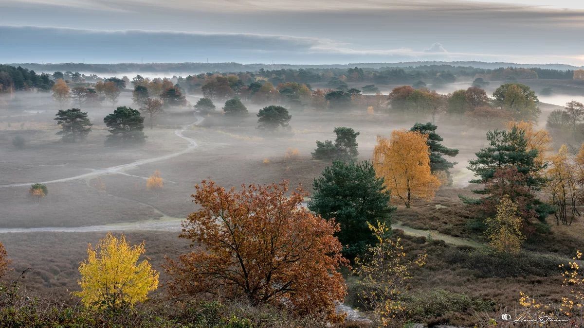 \ud83c\udf42Herfst op de Brunssummerheide \ud83c\udf42 