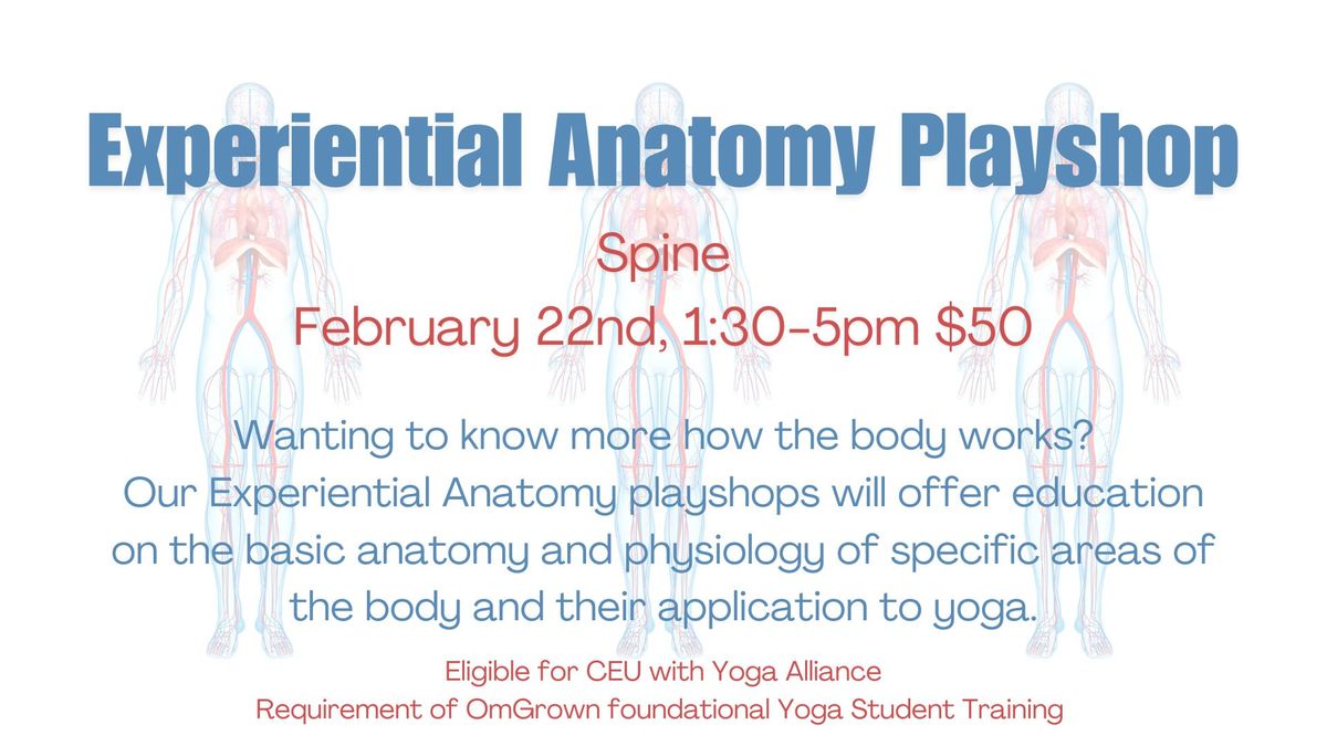 Experiential Anatomy Playshop- Spine