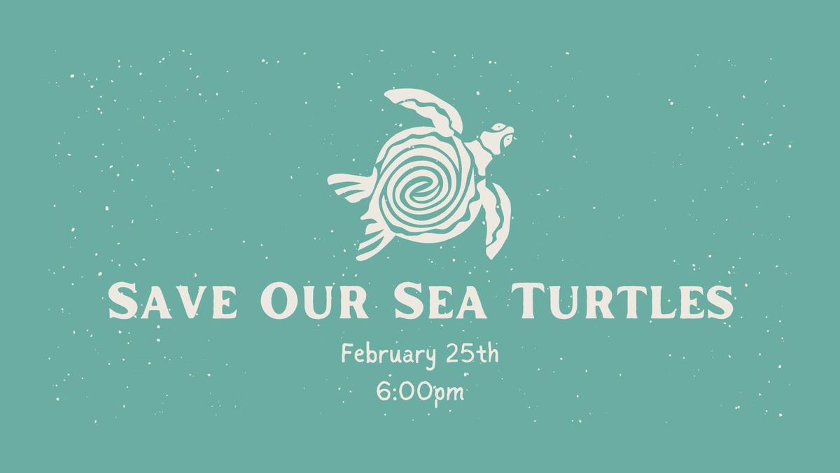 Save the Sea Turtles! How You Can Help with Share the Beach