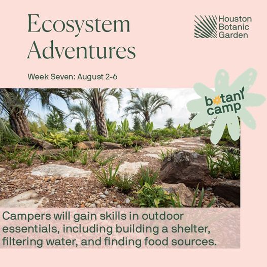 BotaniCamp: Ecosystem Adventures