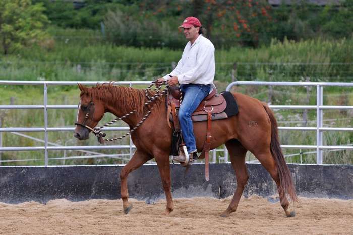 V\u00e1clav Bo\u0159\u00e1nek - Horsemanship III. (Zdrav\u00e9 jezdectv\u00ed aneb "nech se v\u00e9z\/st" 1. d\u00edl)