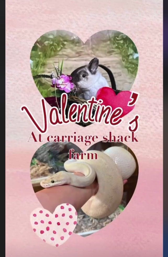 Valentine\u2019s at the Farm