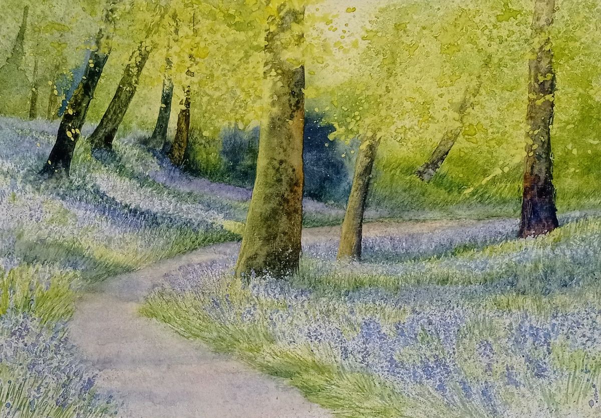 Beginners Watercolours - Evening course 