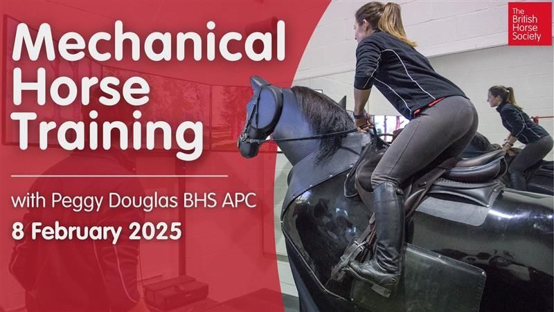 Mechanical Horse Session with Peggy Douglas BHS APC