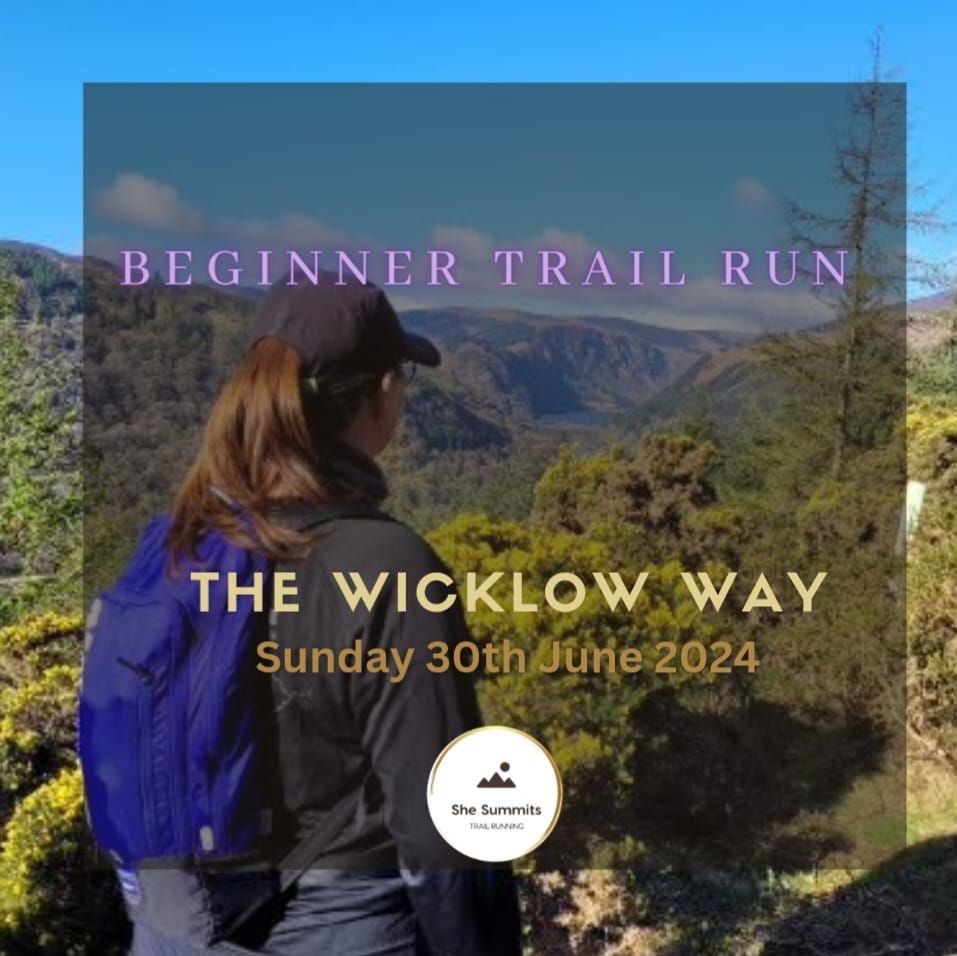 Beginner Trail Run  -  The Wicklow Way 