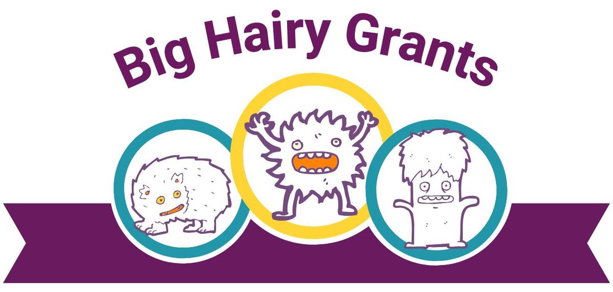 Big Hairy Grants: Write Your Elevator Pitch