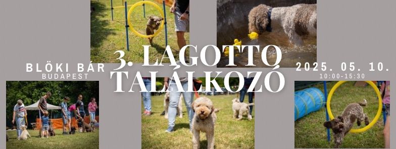 \ud83d\udc36 Lagotto tal\u00e1lkoz\u00f3 a Bl\u00f6ki b\u00e1rban 3.0 \ud83d\udc36