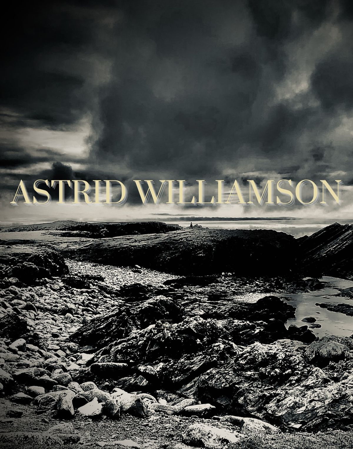 Wrecking Ball Press - Hull - Live Astrid Williamson 