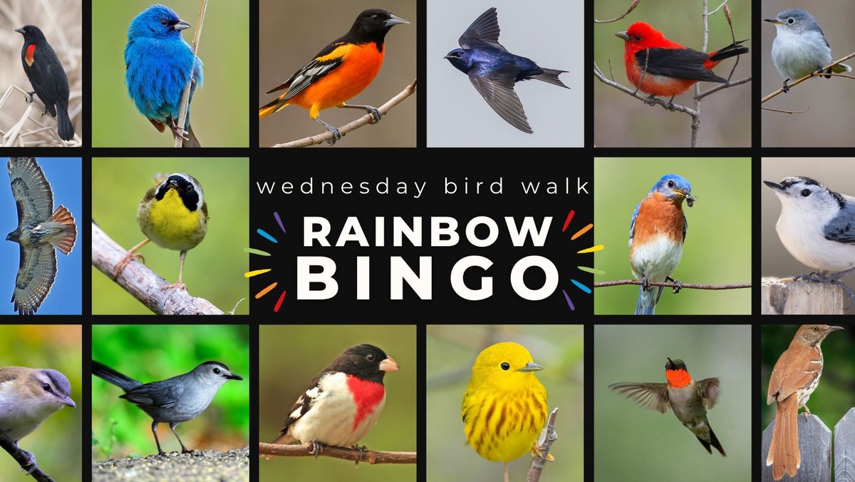 Wed. Bird Walk: Rainbow Bingo