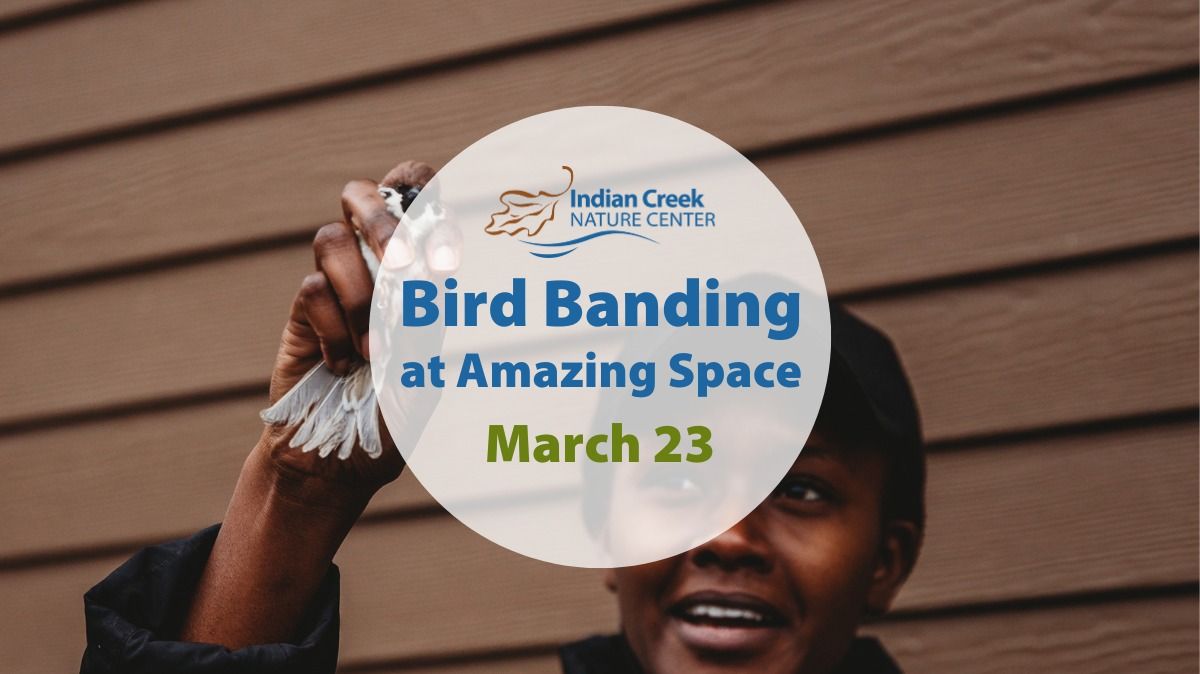 Bird Banding