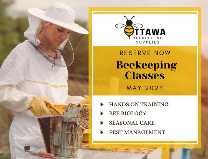 Ottawa Beginner Beekeeping Class