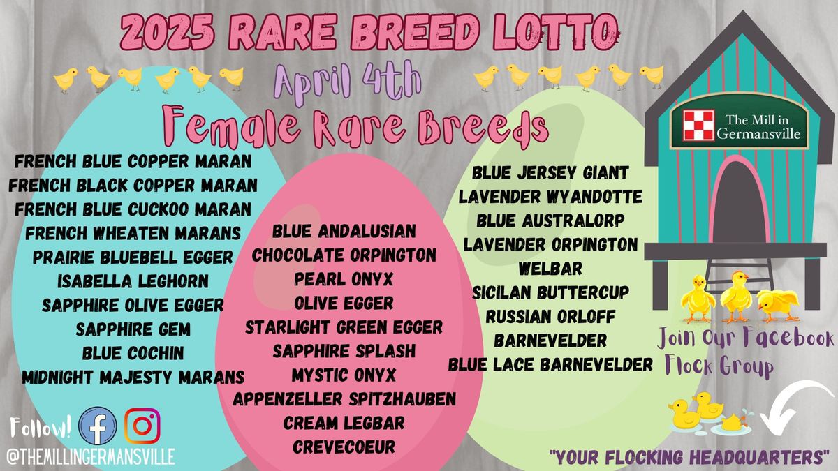 Friday Night Rare Breed Lotto 