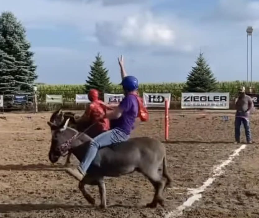 Dairyland Donkey Ball "Celebrity" Donkey Races powered by Heron Lake Young Men's Club