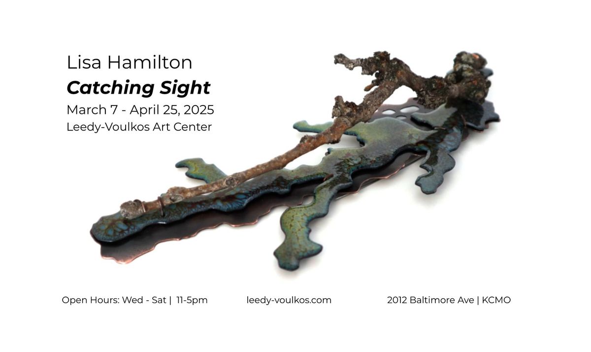 Lisa Hamilton  |  Catching Sight  |  First Friday Openings