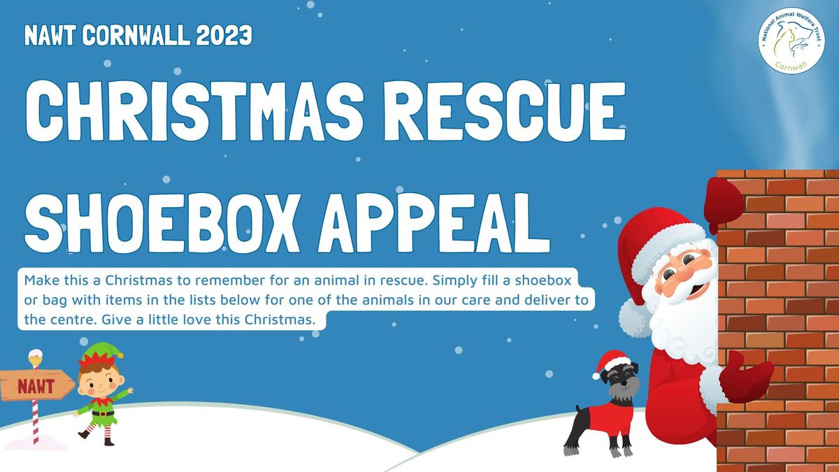 Annual Christmas Rescue Shoebox Appeal 2024