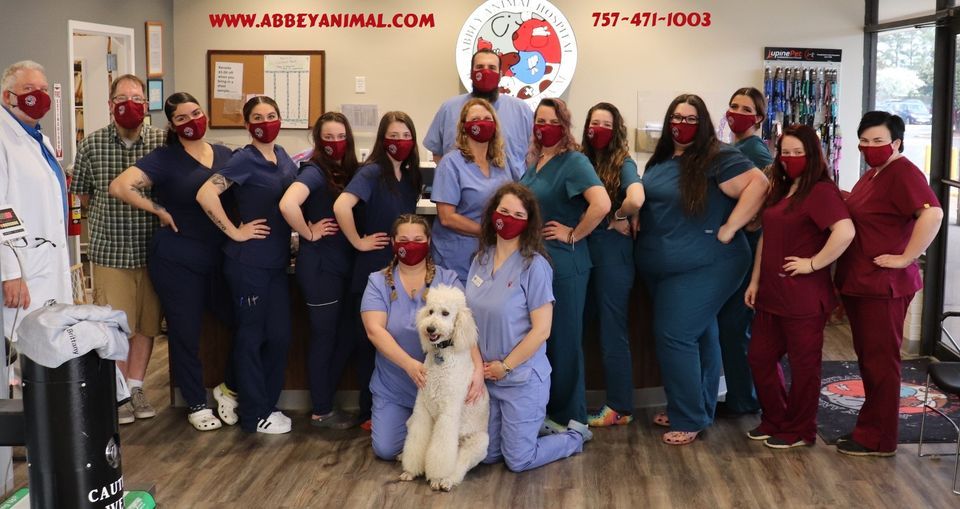 Santa Paws is coming to Abbey!, Abbey Animal Hospital, Virginia Beach