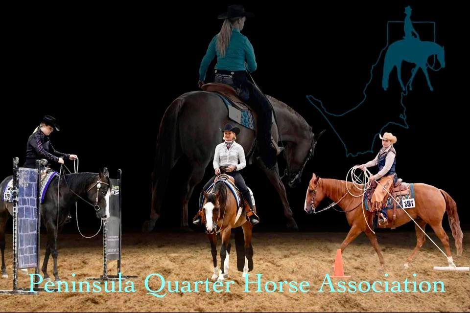 February Fling Ranch Versatility Show and AA & AA Performance Show.