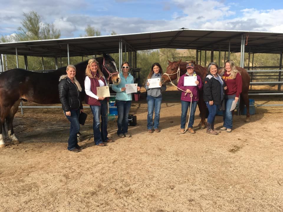 Equine First Aid & Healthy Horses Level 1