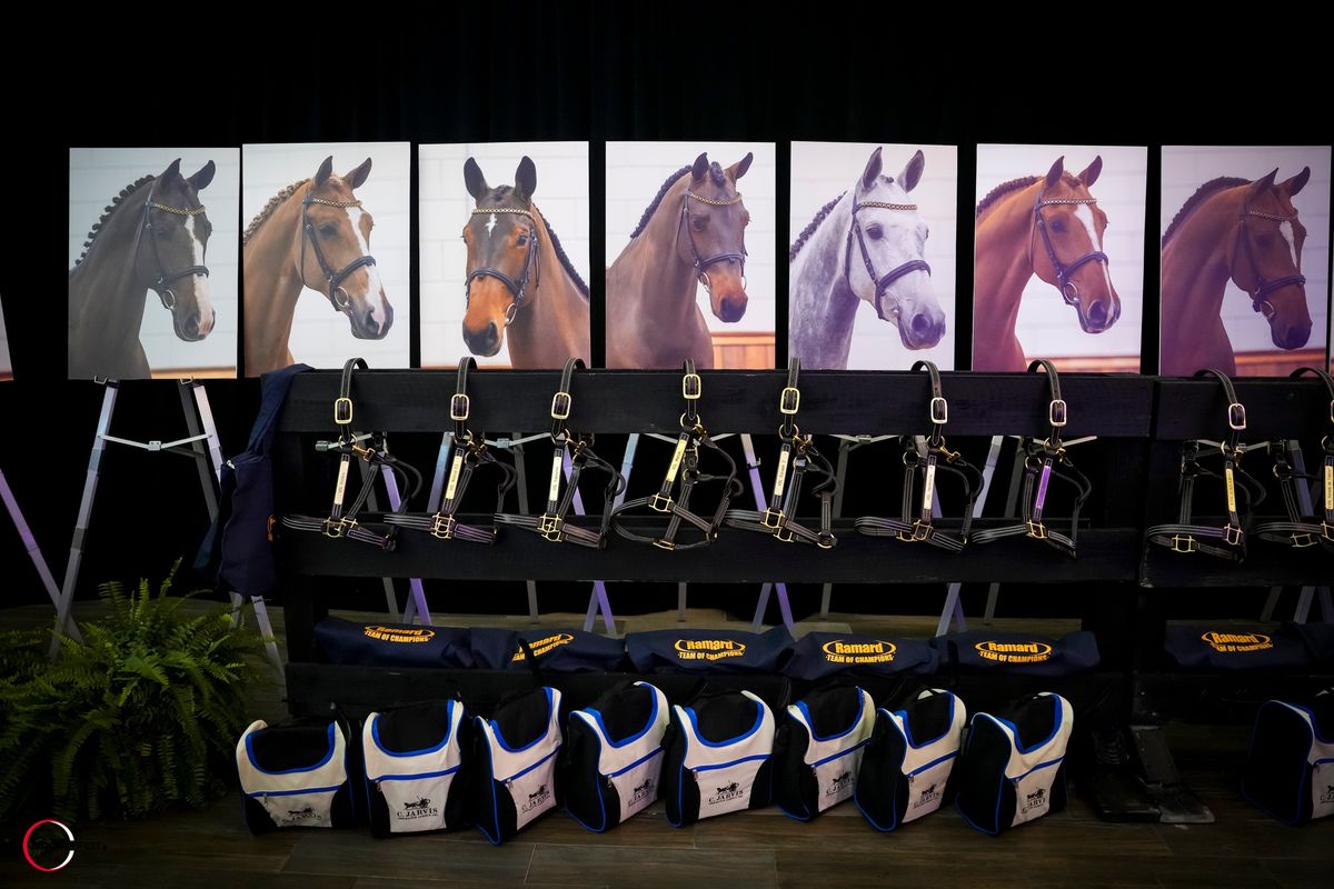 WEF Sport Horse Auction 