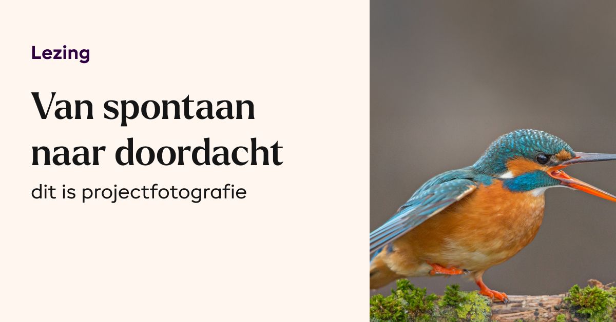 Lezing van registratie naar projectfotografie - Jeroen Tel