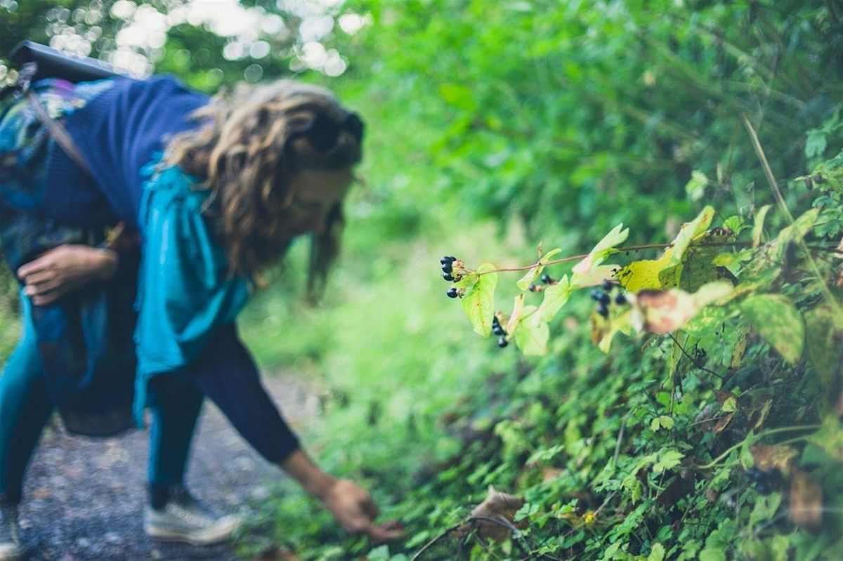 Des Moines Mushroom Festival 2026 - Foraging Hike