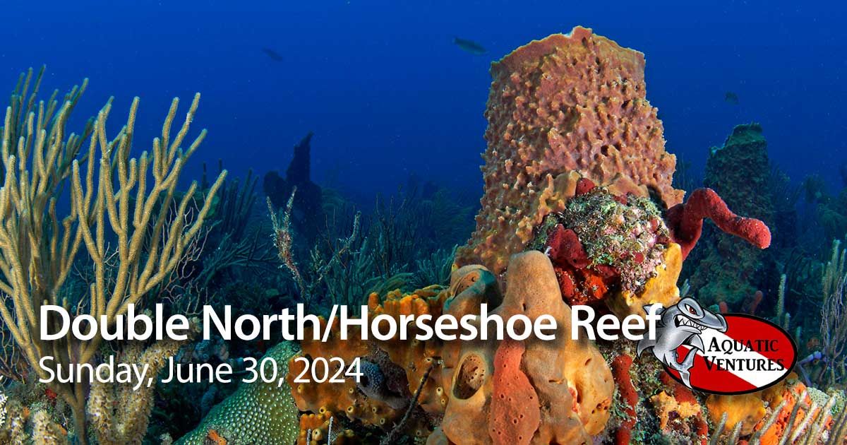Double North\/Horseshoe Reef 