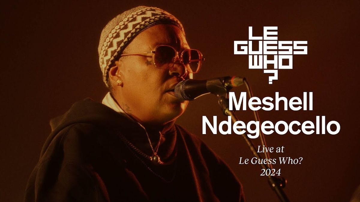 Meshell Ndegeocello