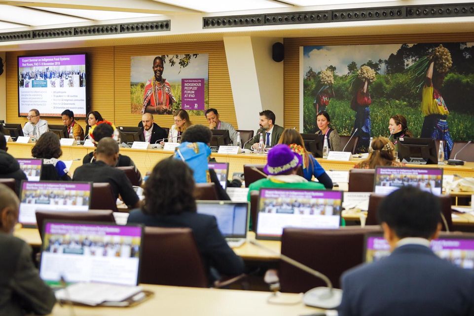 World Indigenous Peoples Conference on Education