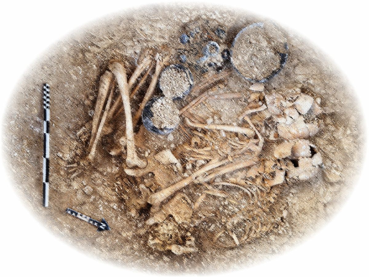 A People Apart: New scientific insights into life, death and society in Iron Age Dorset | Dr Martin 