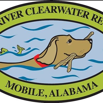 Dog River Clearwater Revival