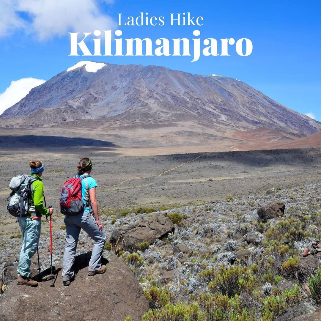 Conquer Mount Kilimanjaro with Elephant Shoes Travel