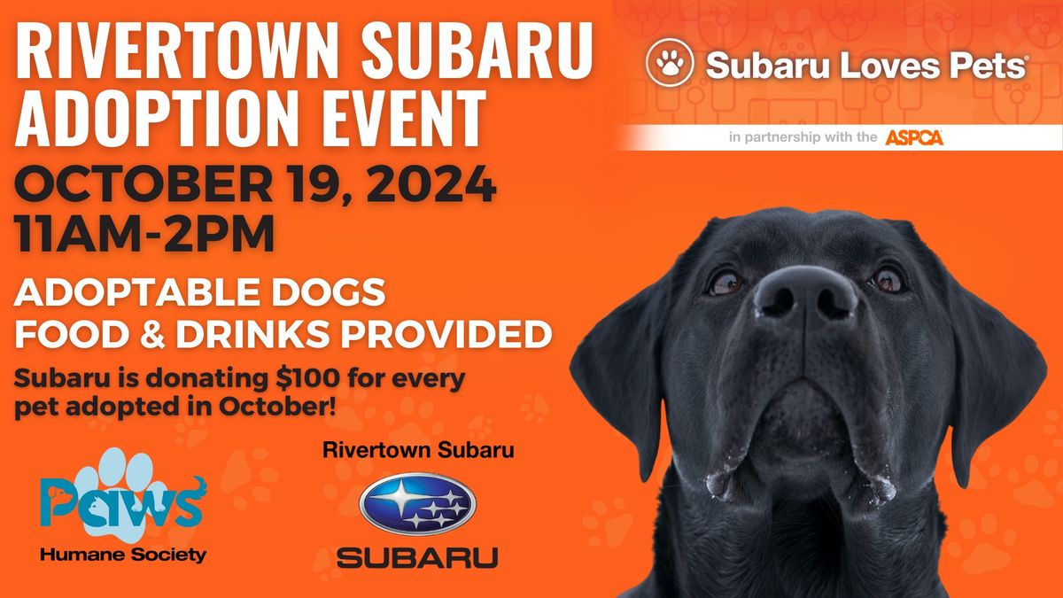 Subaru Loves Pets! Rivertown Subaru Adoption Event