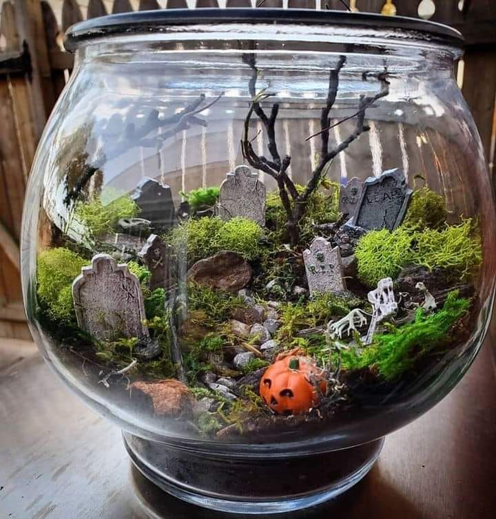 Spooky Terrariums