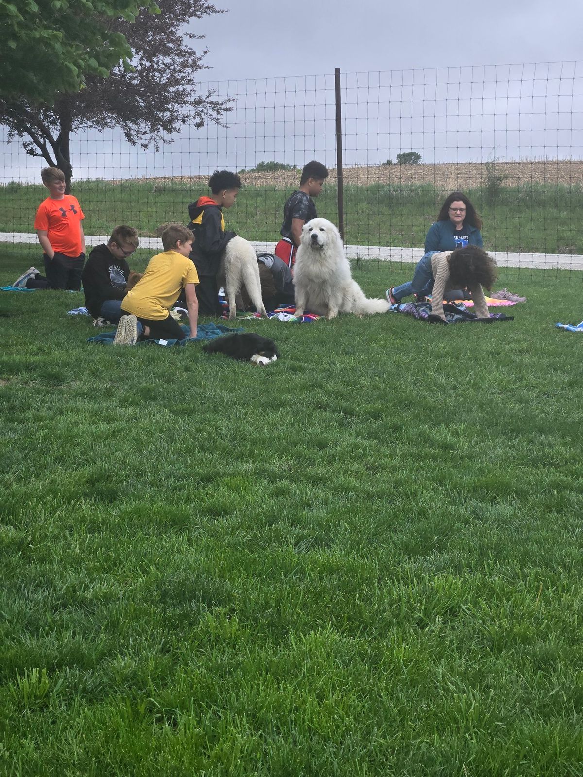 Yoga with the Puppies Monday Jun 3