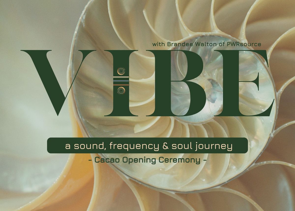 VIBE - Sound, Frequency & Soul Journey