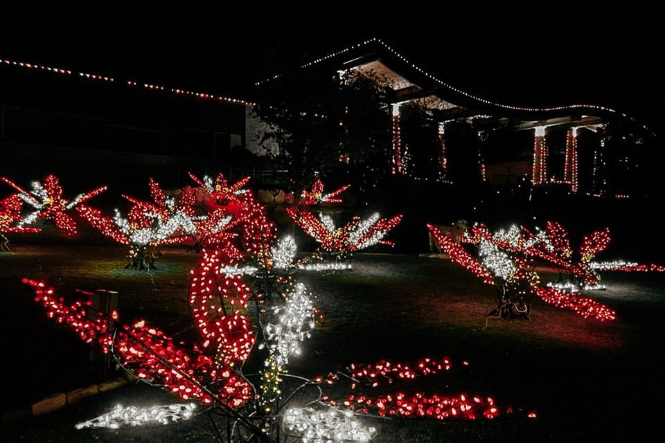 Concho Christmas Lights Parade, San Angelo, Texas Downtown, 3 December 2022