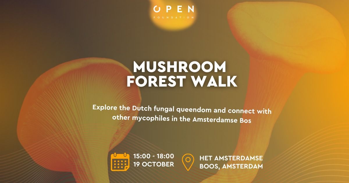 Mushroom forest walk