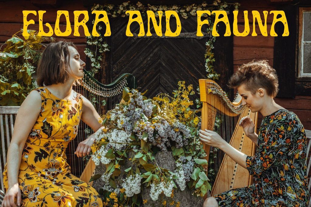 Flora & Fauna live! 