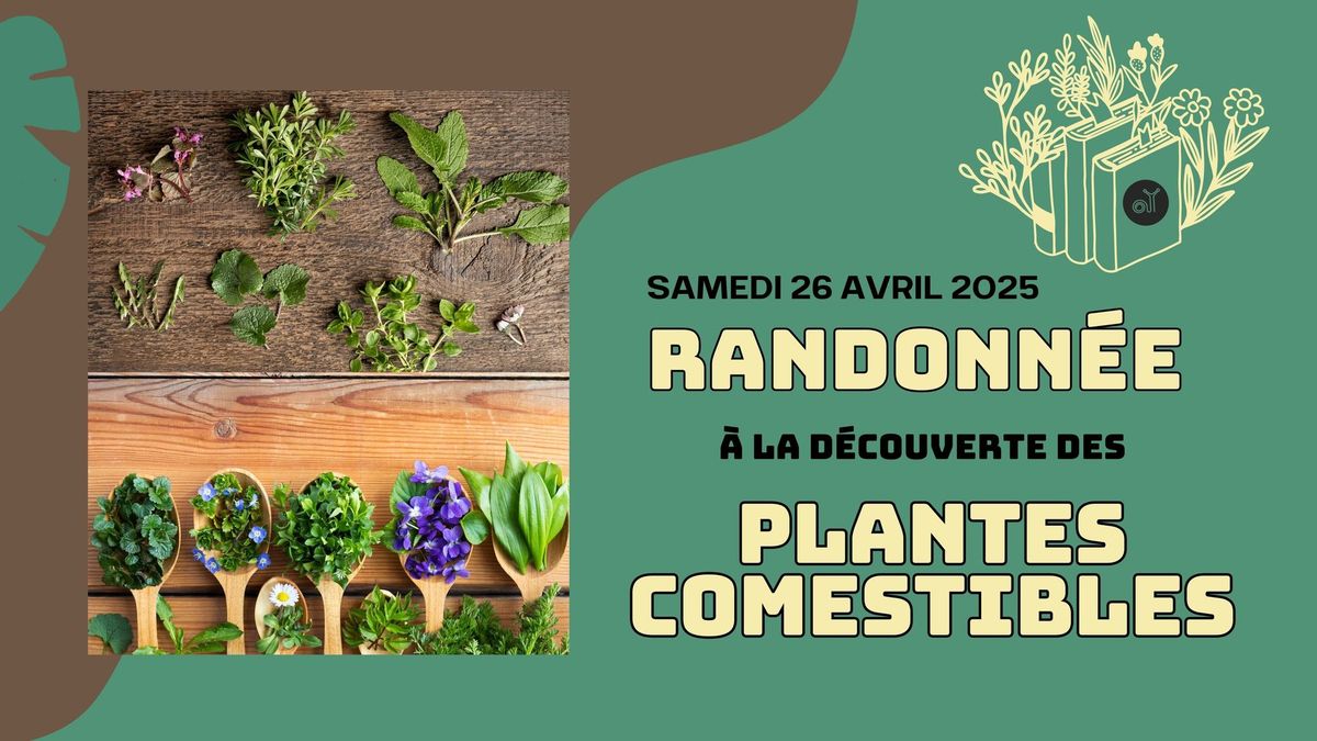 Randonn\u00e9e Plantes Comestibles \ud83c\udf3f