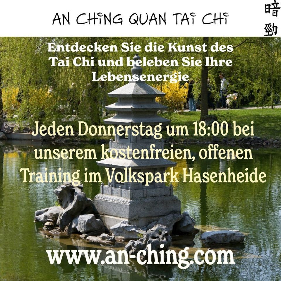 Offenes Tai Chi Training im Park