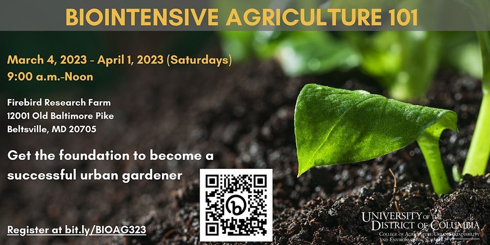 Biointensive Agriculture 101