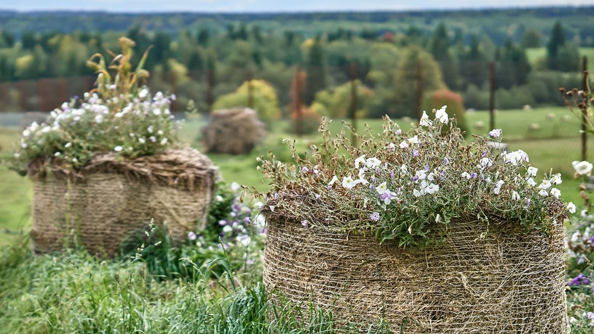 Straw Bale Gardening