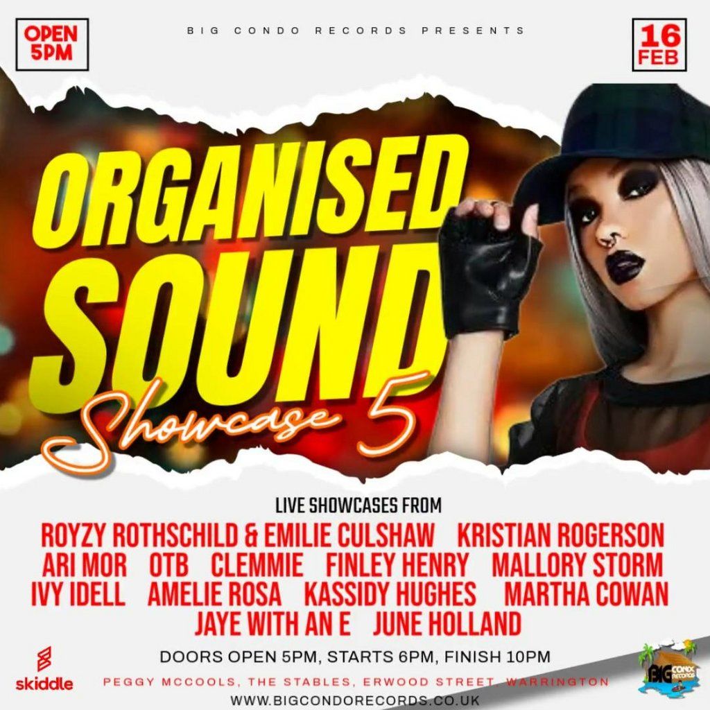 Big Condo Records Presents Organised Sound 5