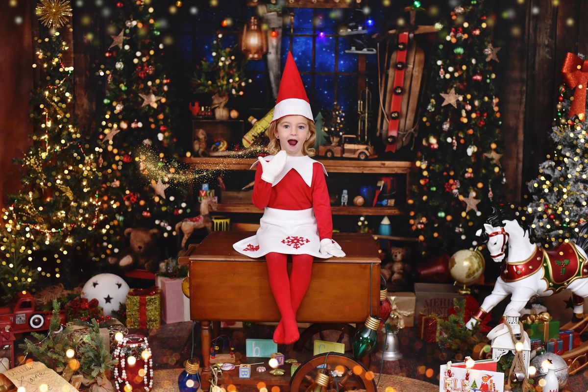 Elf Shelf Sessions