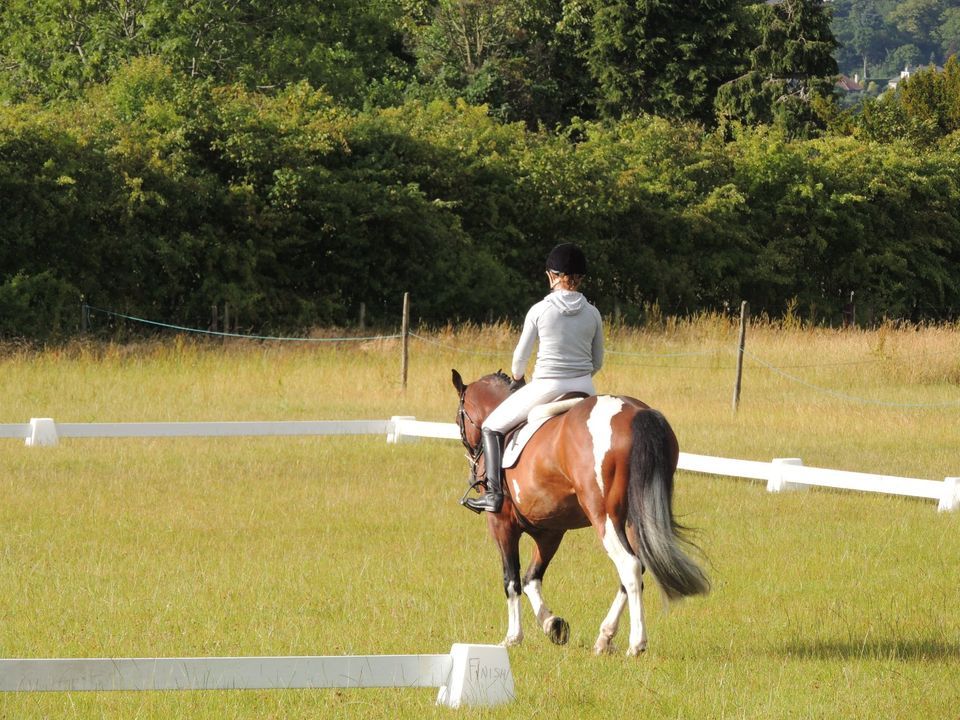 Area 22 Dressage & Show Jumping